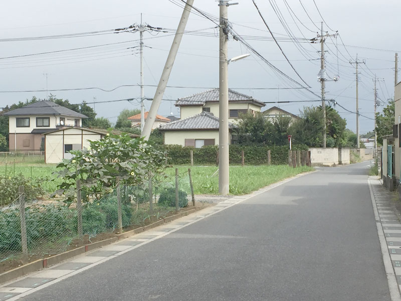 西側から敷地を望む