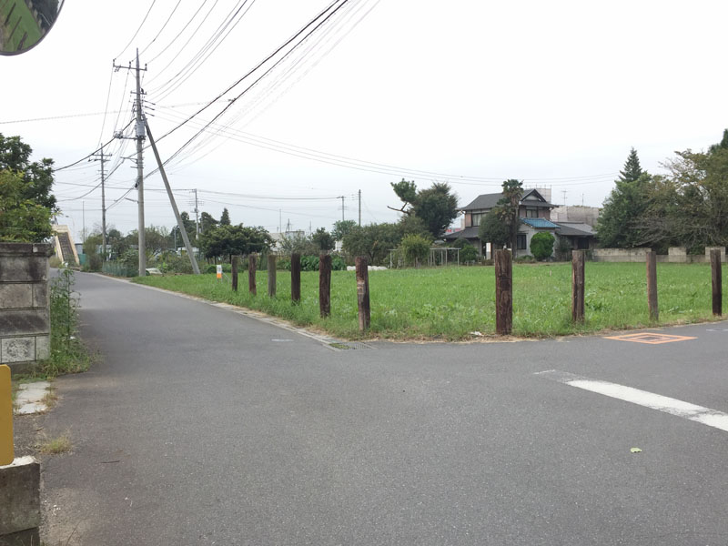 東側から敷地を望む